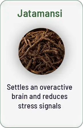 Jatamansi